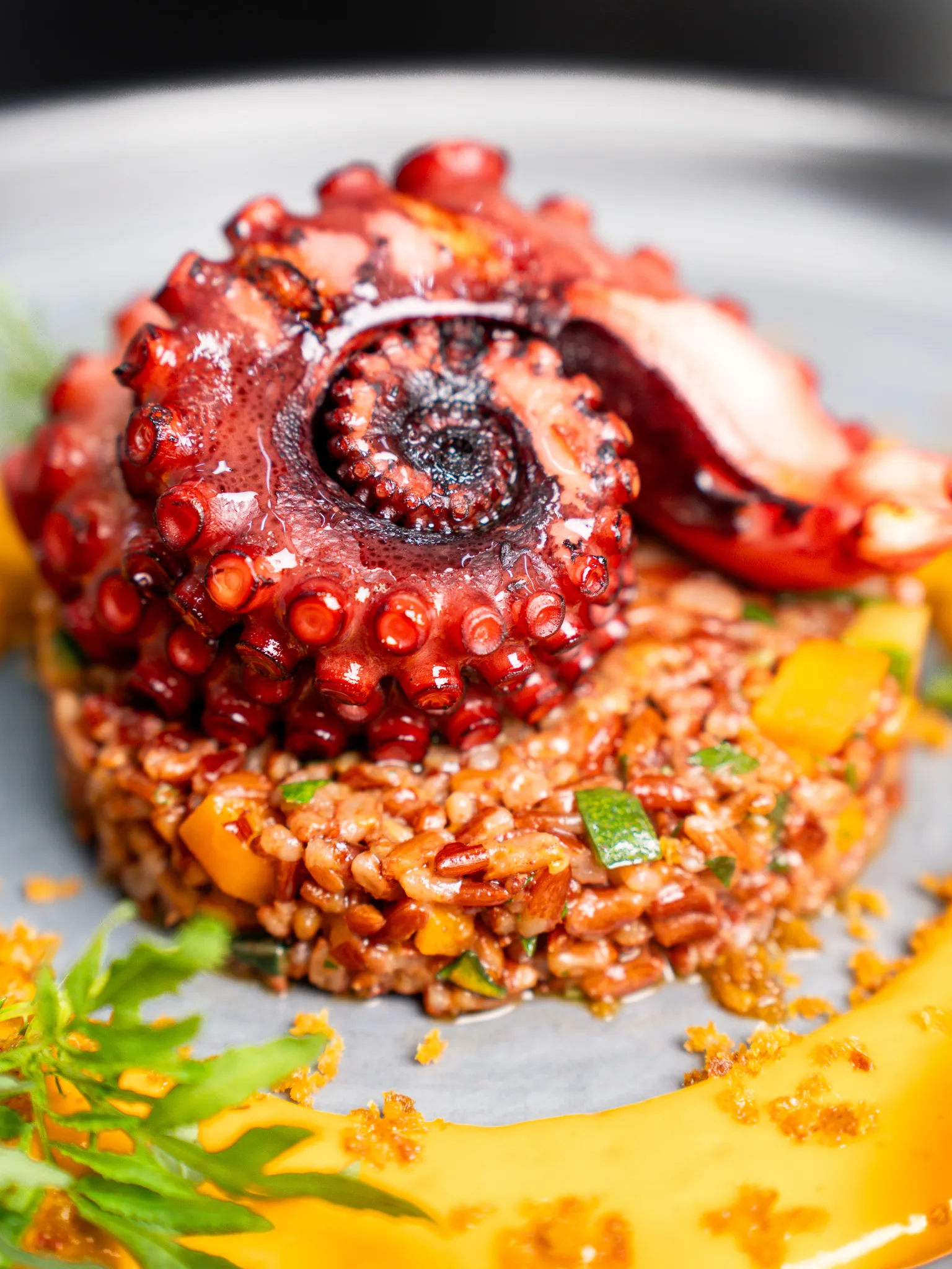 Pranzo Lucca polpo Pasticceria Lucca